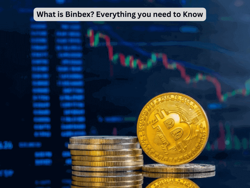 what is Binbex